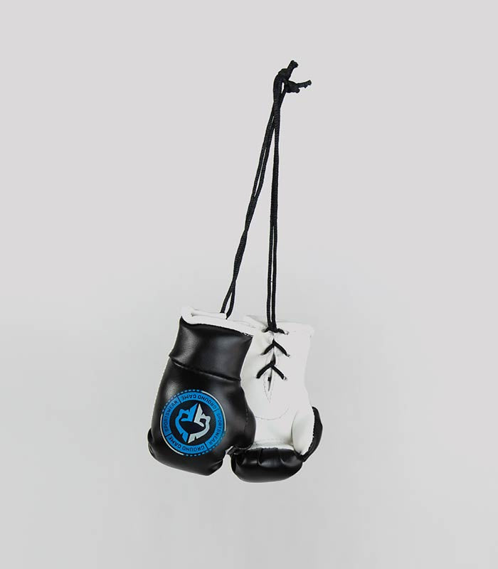 Mini boxerské rukavice do auta