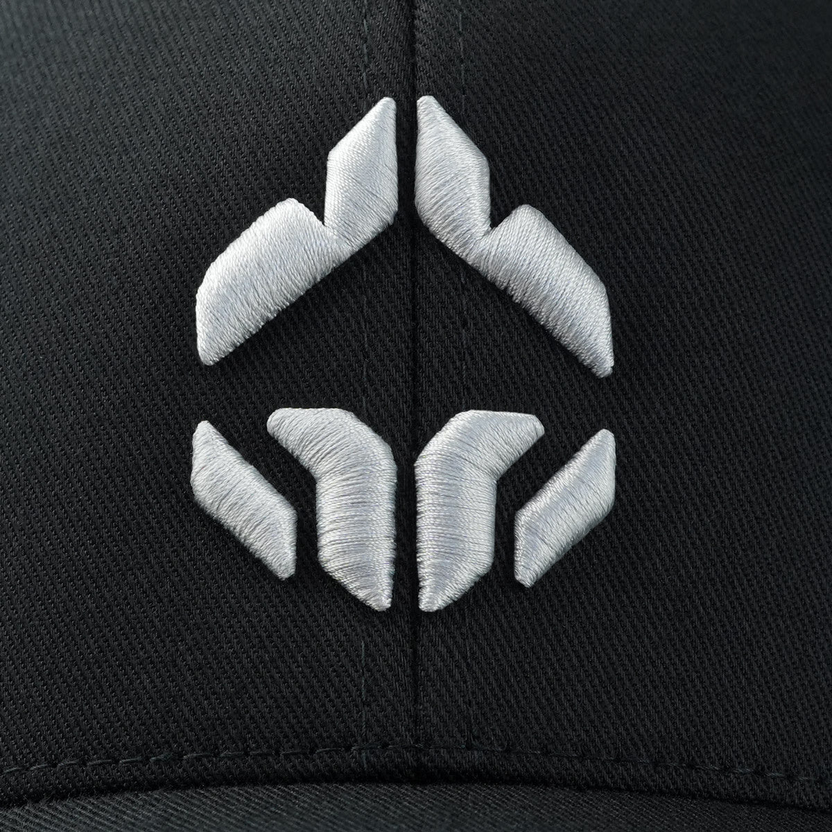 Kšiltovka Logo 3D Platinum (Černá)