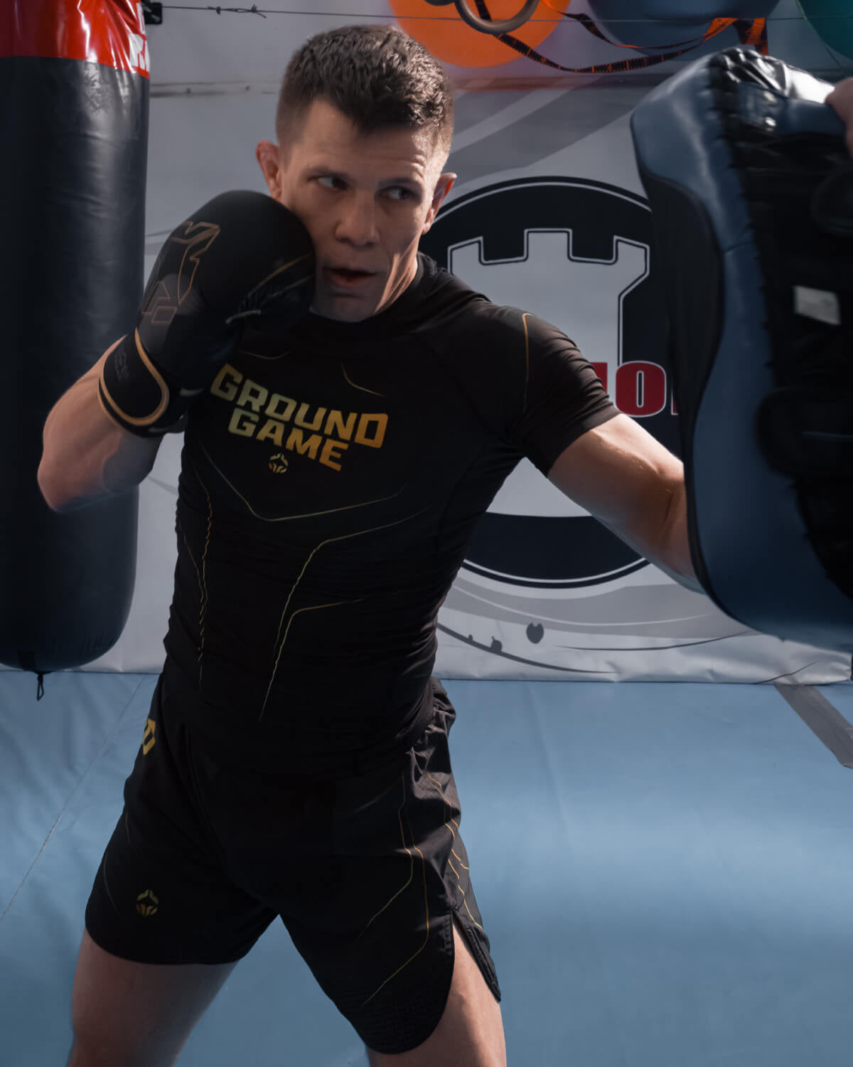 Boxerské rukavice Logo 3.0 Gold