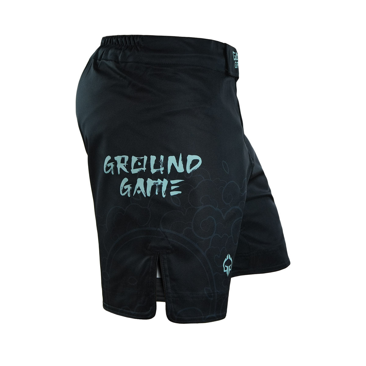 MMA šortky Ashi Garami