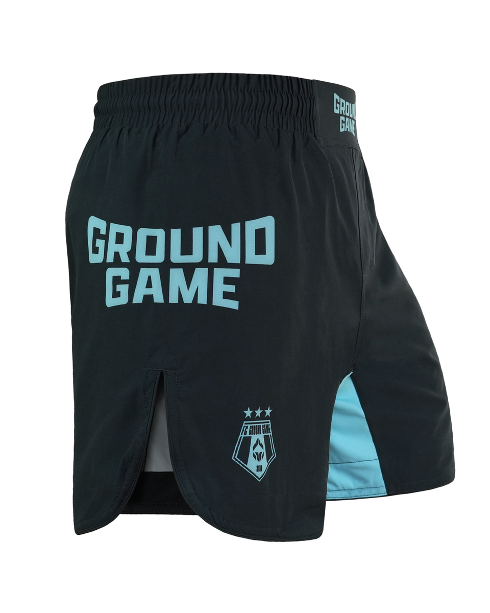 MMA lehké kraťasy FC Armbar Ground Game